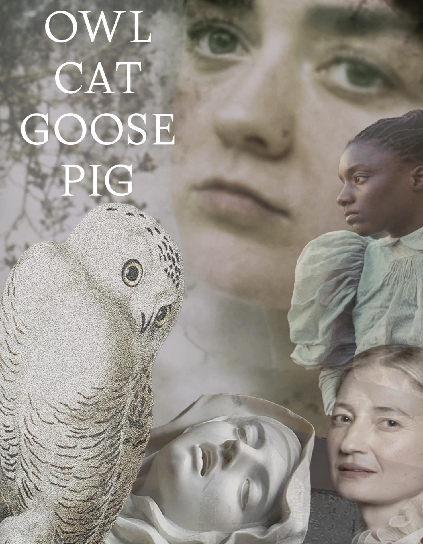Owl Cat Goose Pig — collage artwork: a snowy owl, a Madonna sculpture and three women's portraits, the title set in classical serif.